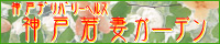 神戸若妻ガーデン